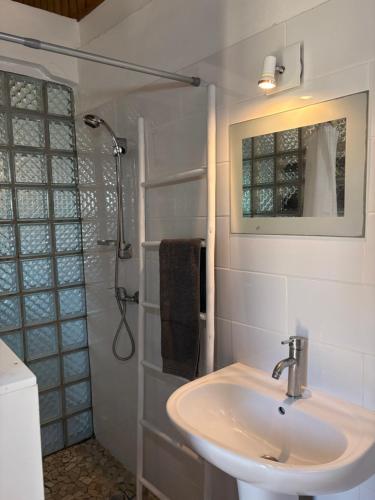 un bagno con lavandino e doccia di LABé KAZ Kréyòl Studio a Le Moule