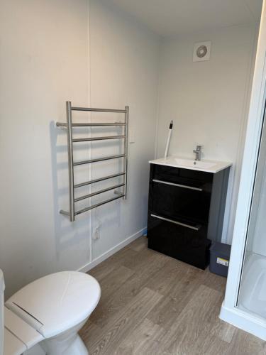 a bathroom with a white toilet and a sink at Ruapehu Views Cabin Getaway in Raetihi