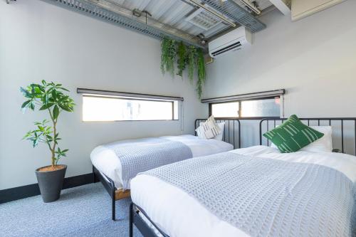 a bedroom with two beds and a potted plant at Pufuka Mukojima 1 in Tokyo