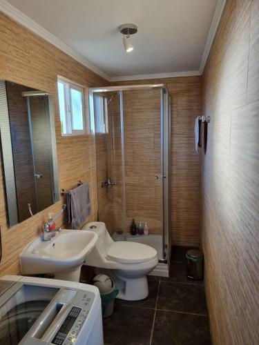a bathroom with a toilet and a sink and a shower at Cabaña 2 a 4 personas in Carahuo