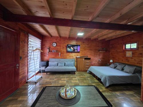 a bedroom with a bed and a couch and a tv at Alojamiento Pamela in Coñaripe