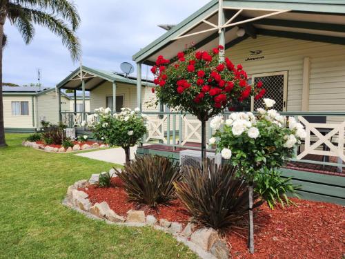 a garden with red and white flowers in front of a house at Paynesville Holiday Park in Paynesville