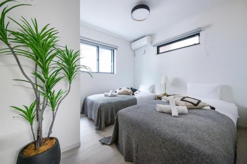a bedroom with two beds and a potted plant at ぷふか東向島 in Tokyo