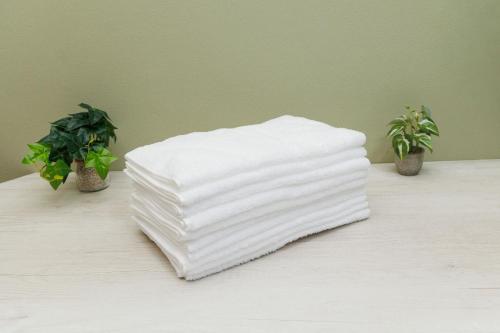 a stack of towels on a table with two plants at WAKE Inn 府中 in Fuchu