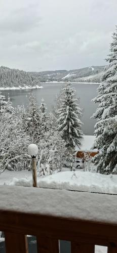 a snow covered view of a lake and trees at Vila Nature and Luxury in Beliş