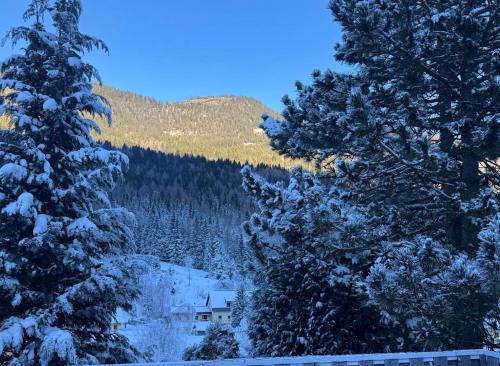 Urlaub mit Bergblick - Ferienhaus in Bad Bleiberg