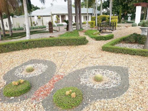 a garden with flowers and plants on the ground at Kastelein Guesthouse in Pongola