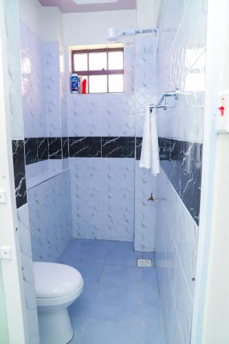 a white bathroom with a toilet and a shower at NayaLoft in Naivasha