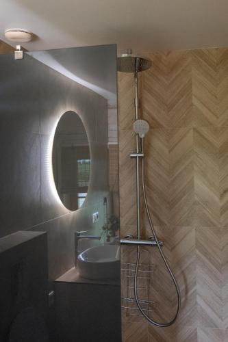 a bathroom with a sink and a mirror at Panekelpių vienkiemis in Aguriškės
