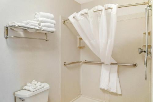 a bathroom with a shower curtain and a toilet at Quality Inn & Suites Monroe in Monroe