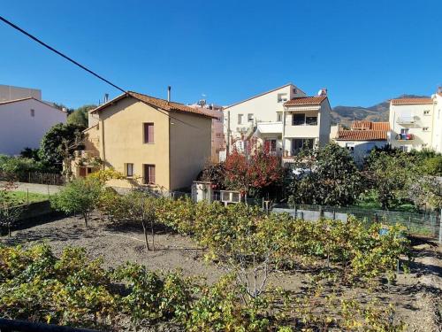 Appartement rénové à Banyuls-sur-Mer avec terrasse - FR-1-309-4