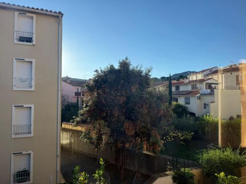Appartement central près plage Banyuls-sur-Mer - FR-1-309-5