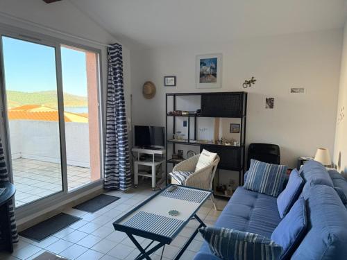 Appart à Banyuls-sur-Mer, terrasse, parking, clim, vue mer - FR-1-309-45