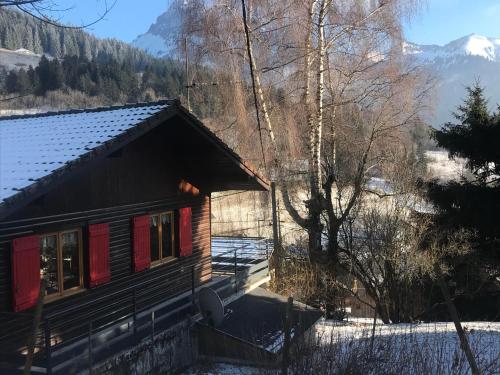 Bernex(74) Appartement 4 personnes dans chalet vue imprenable