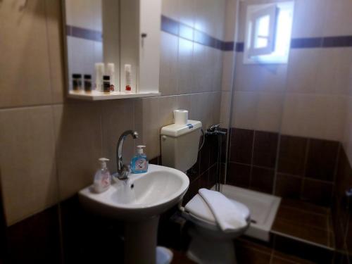 a bathroom with a sink and a toilet at Hellen's Summer house in Keramoti