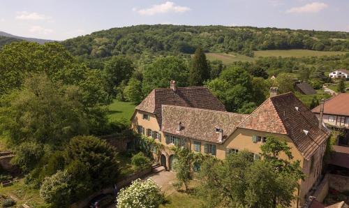 an aerial view of a large house with trees at Domaine La Commanderie in Boersch