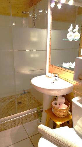 a bathroom with a sink and a glass shower at Chalet entre lac et volcan in Murol
