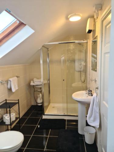 a bathroom with a shower and a sink and a toilet at This is the Place in Ballinrobe