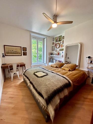 Appartement quai de Saône vue vieux Lyon Fourvière