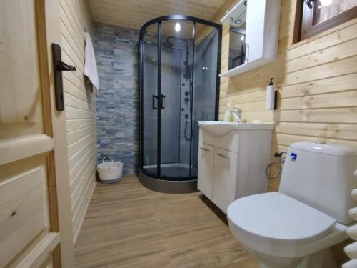 a bathroom with a shower and a toilet and a sink at Cabana dintre vai Strungari in Plaiuri