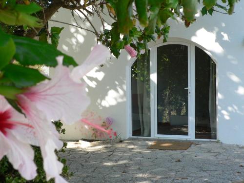 a window in a white house with flowers at Casa do Hibisco in São João do Estoril