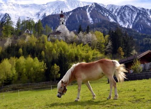 Ferienwohnung Famile Perkhofer