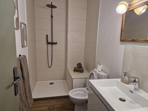un bagno con doccia, WC e lavandino di La détente a Lons-le-Saunier