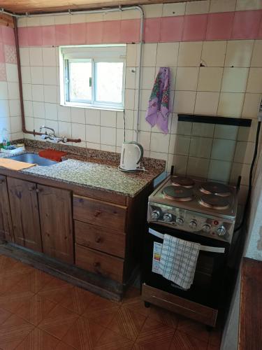 a small kitchen with a stove and a sink at EL LOTE DE VERO in Las Compuertas