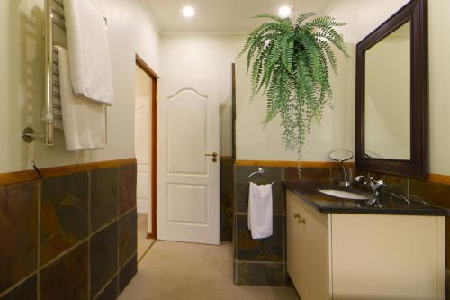 a bathroom with a sink and a mirror and a plant at Elgin Farm Dullstroom in Dullstroom