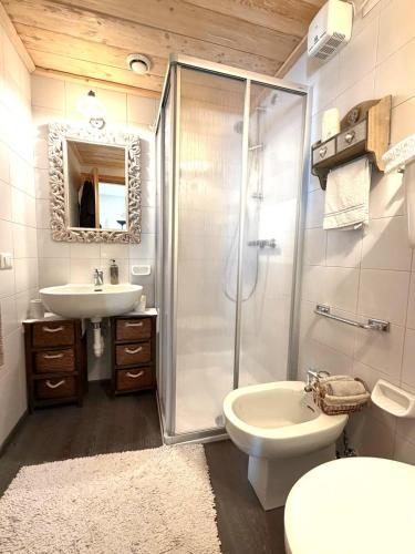 a bathroom with a shower and a sink and a toilet at Bormio Alpine Home in Bormio