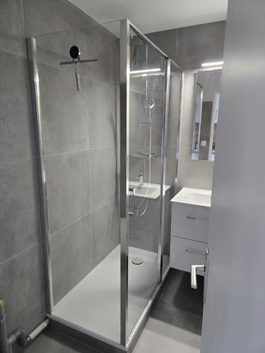 a shower with a glass door in a bathroom at Studio cabine Meublé de Tourisme 2 étoiles in Balaruc-les-Bains