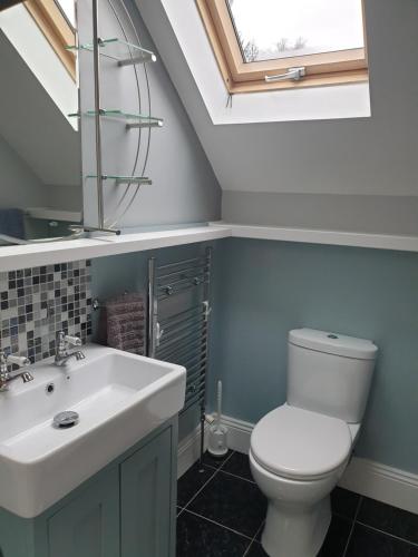 a bathroom with a sink and a toilet and a skylight at FOREST VIEW Woodland lodge in Ballard