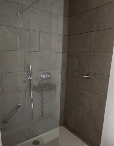 a bathroom with a shower with a glass door at Antwerp West Side, Fireplace in Zwijndrecht