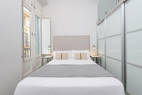 Apartamentos Calle Larios