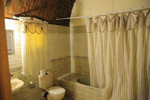 a bathroom with a toilet and a shower curtain at Oasis Panorama Hotel in Bawati