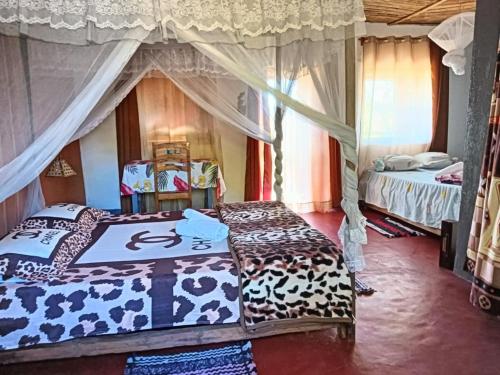 two beds in a room with curtains and a room with two beds at Ecolodge d'Isalo in Ranohira