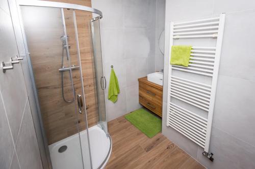 a bathroom with a shower and a toilet and a sink at Apartmán Černý Důl in Černý Dŭl