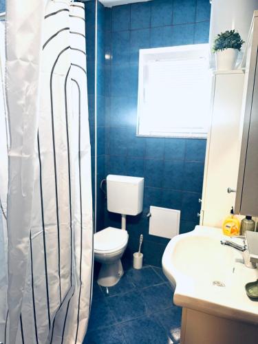 a blue bathroom with a toilet and a sink at Andreja in Kustići