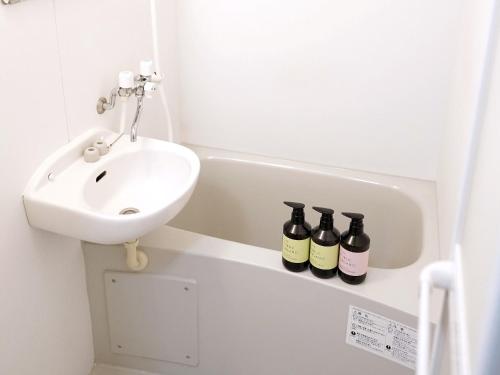 Near Asakusa, Projector, Twin and Semi Double Rooms