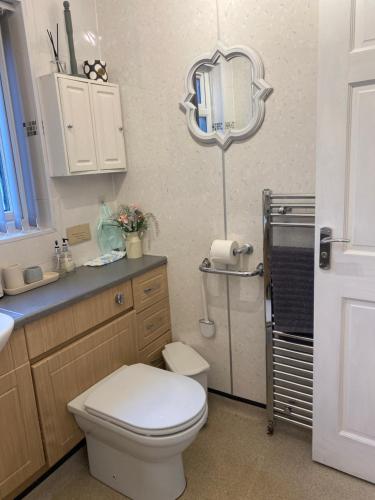 a bathroom with a toilet and a sink and a mirror at Gramhor House in Dumfries