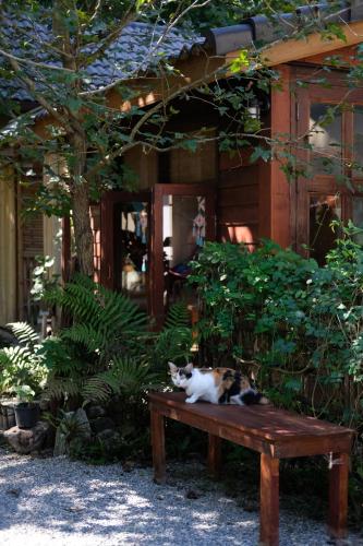 a cat laying on a wooden bench in front of a building at Baannai Homestay & Flower Tea in Ban San Na Meng