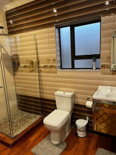 a bathroom with a toilet and a shower and a sink at Emangweni Guest House in Vryheid
