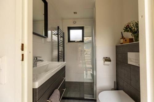 a bathroom with a sink and a toilet at Loom - Modern Lodge in the Woods in Putten