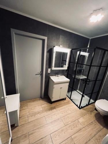 a bathroom with a toilet and a sink at Le repaire du raton laveur in Rance