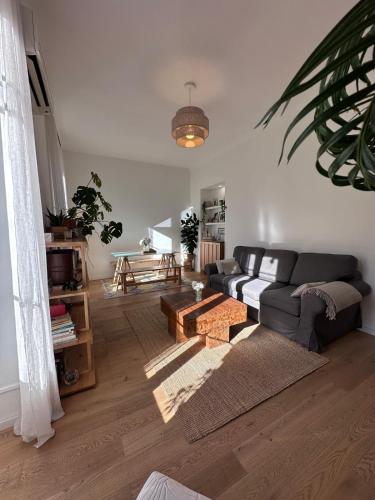 Charming Riquier apartment