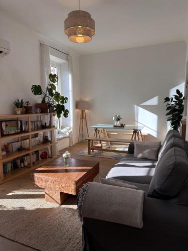 Charming Riquier apartment