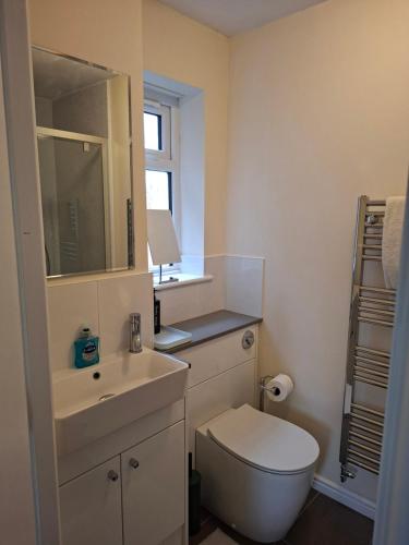 a bathroom with a white toilet and a sink at Family-run 5 Star Home - Consistent Superhosts in Long Lawford
