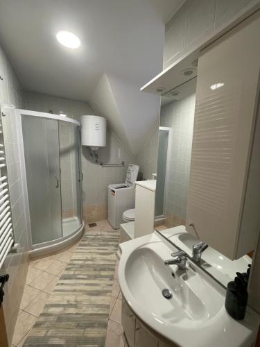 a bathroom with a sink and a shower and a toilet at Apartma Jelenček in Moravske-Toplice