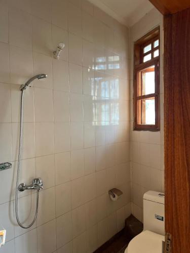 a white bathroom with a shower and a toilet at The Paradise Inn Kilimanjaro in Moshi