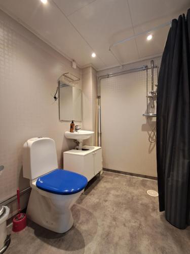 ein Badezimmer mit Toilette mit blauem Sitz und Waschbecken in der Unterkunft Rutsbrogården in Rutån